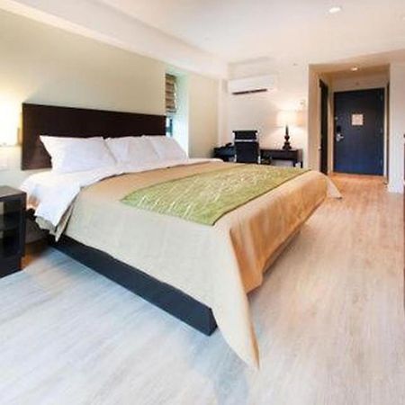 Comfort Inn & Suites - Kew Gardens Near La Guardia Airport ニューヨーク エクステリア 写真