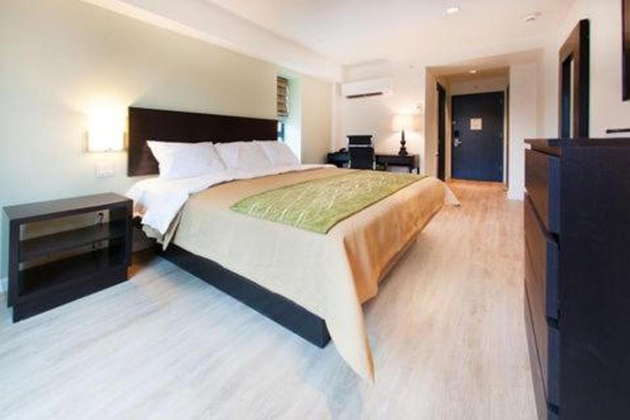 Comfort Inn & Suites - Kew Gardens Near La Guardia Airport ニューヨーク エクステリア 写真