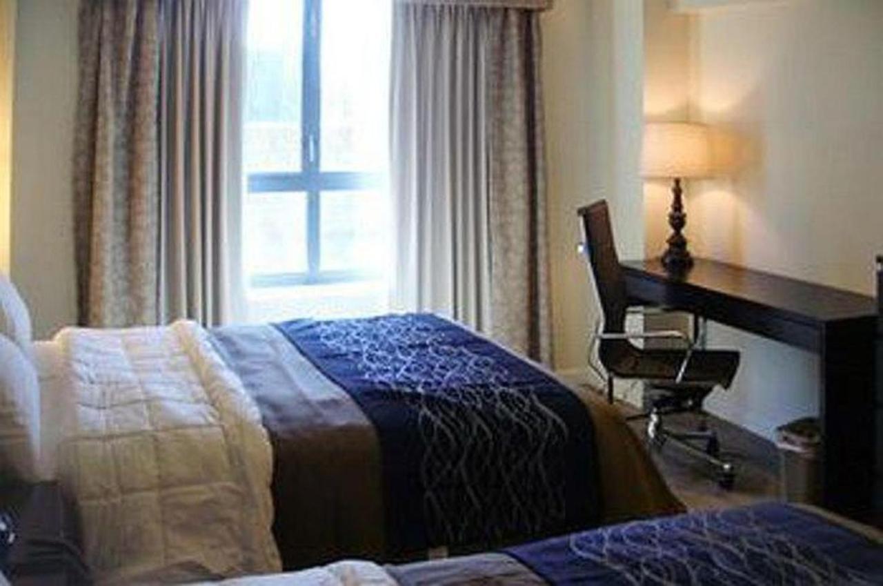 Comfort Inn & Suites - Kew Gardens Near La Guardia Airport ニューヨーク エクステリア 写真